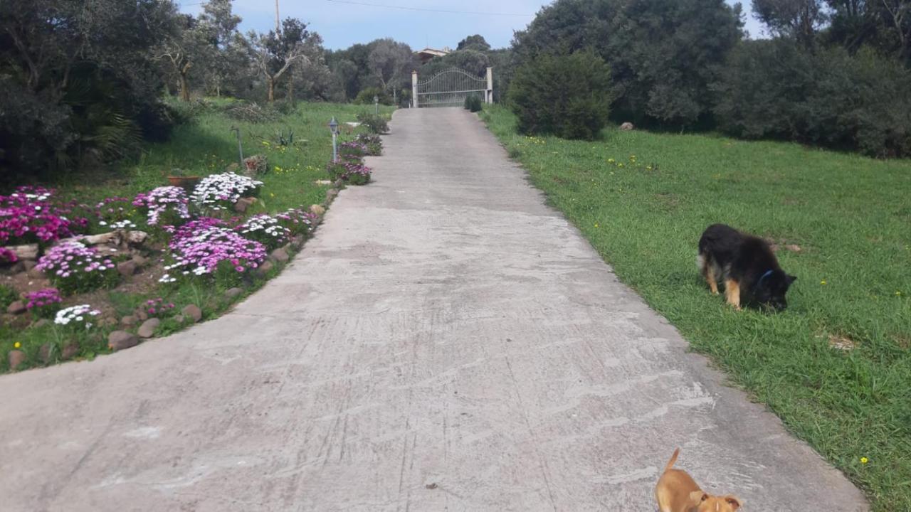 카나이 La_Casa_Di_ Willy 빌라 외부 사진